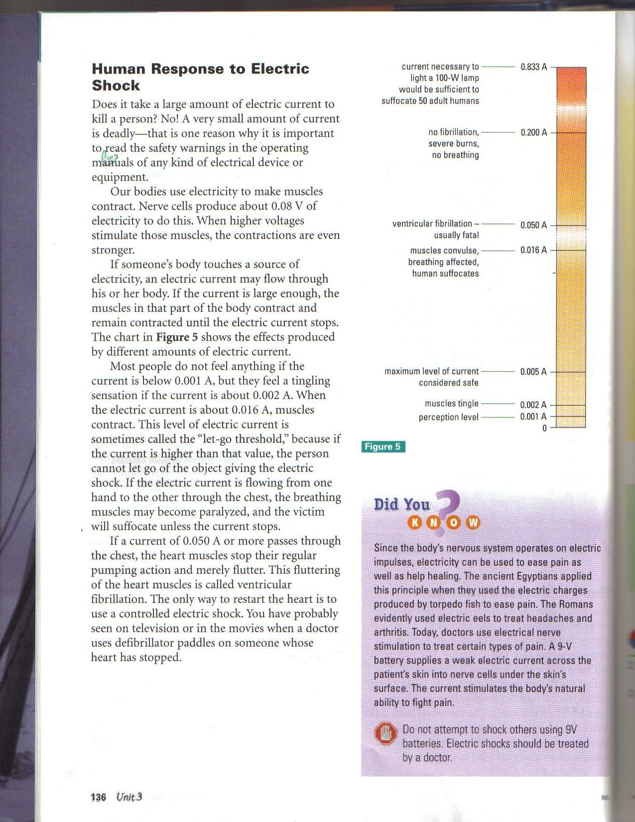 29 33 Energy Flow In Ecosystems Worksheet Answers Worksheet Resource