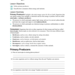 3 2 Energy Producers And Consumers Worksheet Answer Key Db excel