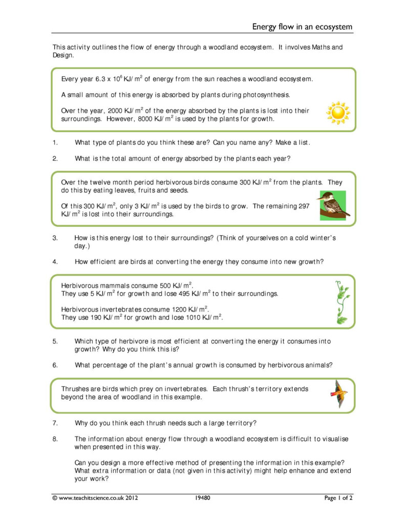 30 Energy Flow Worksheet Answers Education Template