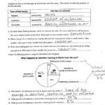 30 Nova Solar Energy Saved By The Sun Worksheet Answers Worksheet