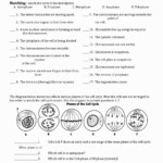 Cell Cycle Student Worksheet Answer Key It Is Also Essential To