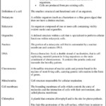 Cell Theory Worksheet 7th Grade Cell Theory Definition Deute In 2020