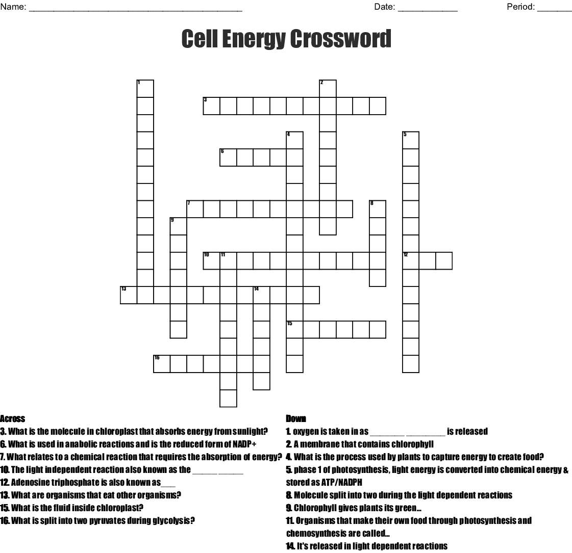 Chapter 9 Energy In A Cell Worksheet Answers Nidecmege Chapter 9 Energy In A Cell Worksheet Answers Nidecmege
