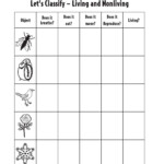 Characteristics Of Living Things Made Of Cells Obtain And Use Energy
