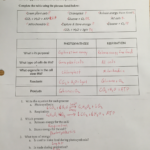 Energy Ms Anderson s Biology Class