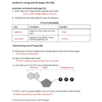 Energy Worksheets Grade 5