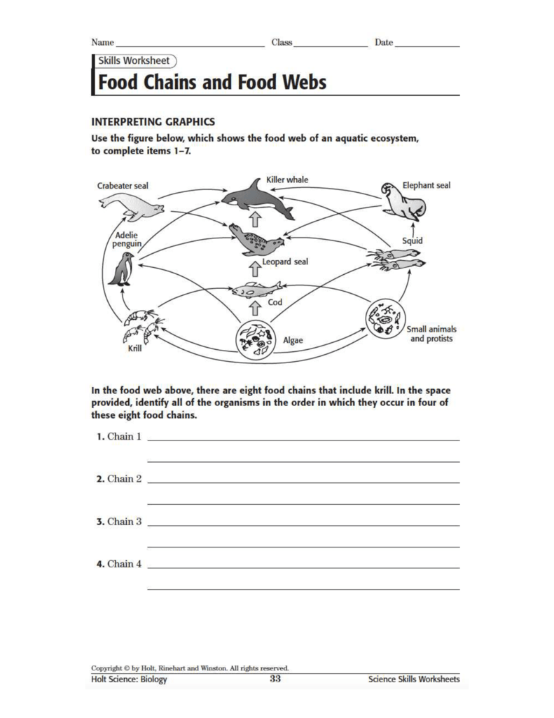 Producers And Consumers Worksheet Worksheet List
