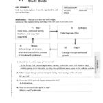 Unit 2 Resource Book Mcdougal Littell Biology Image Collections Book