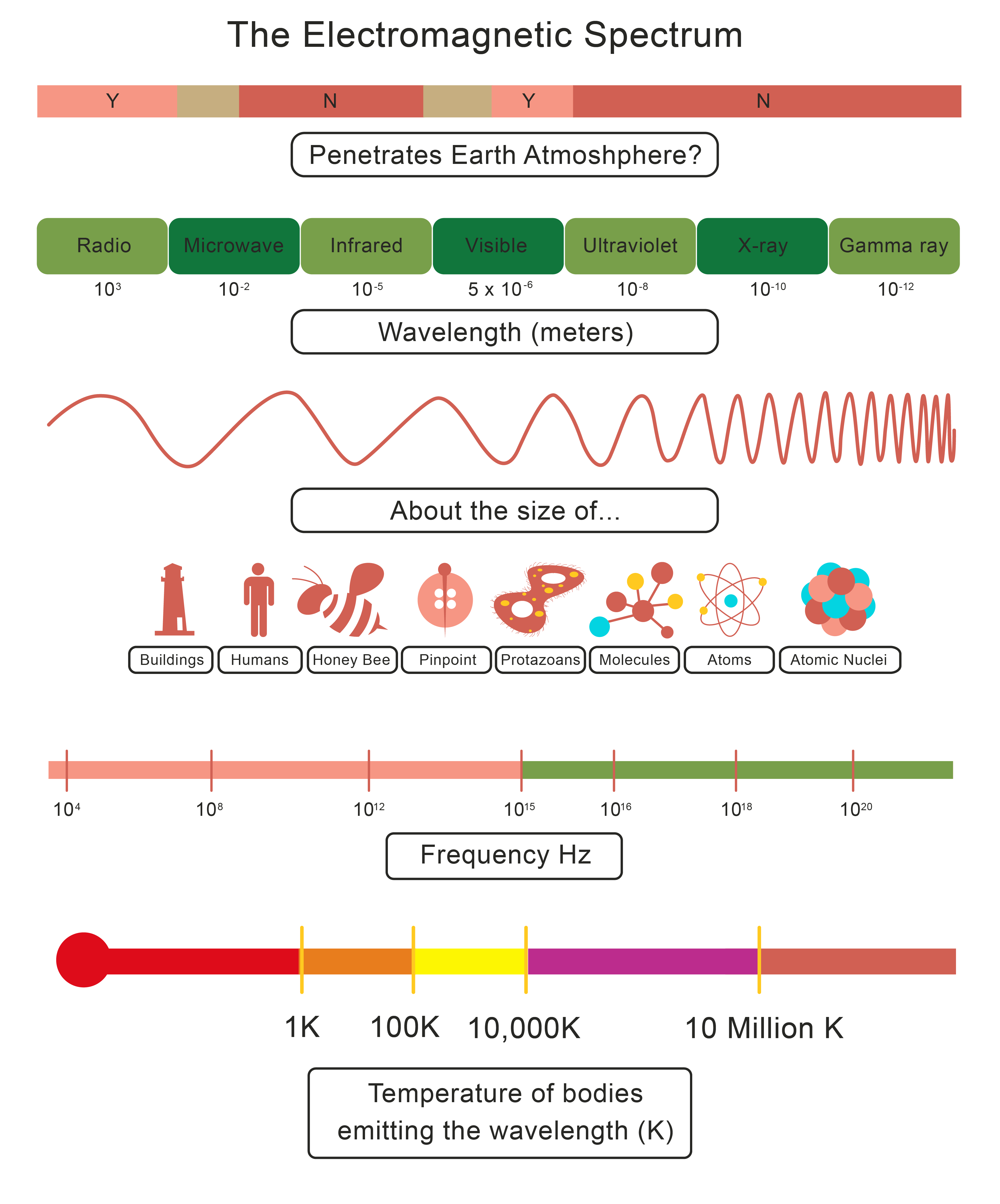 Worksheet Waves And Electromagnetic Spectrum Worksheet Answers The Worksheet Waves And Electromagnetic Spectrum Worksheet Answers The