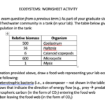 28 Energy Flow Worksheet Answers Worksheet Information