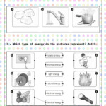 30 Matter And Energy Worksheet Education Template