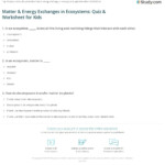 30 Matter And Energy Worksheet Education Template