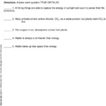 30 Matter And Energy Worksheet Education Template