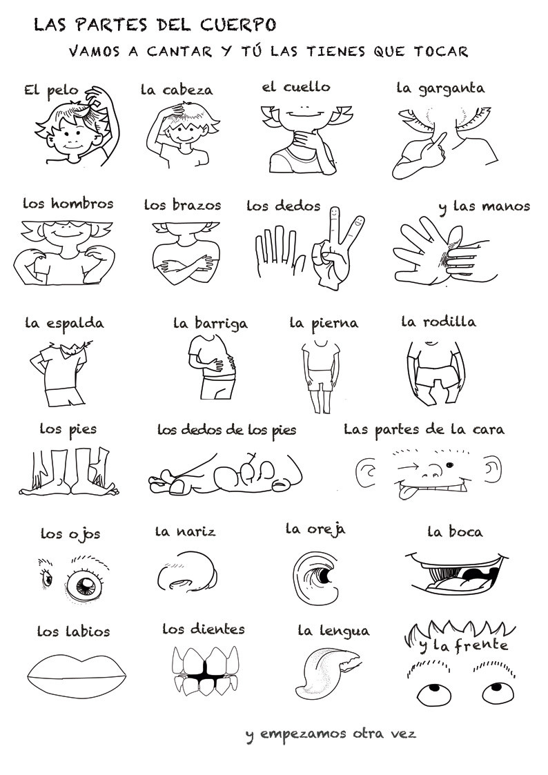 30 Spanish Body Parts Worksheet Education Template 30 Spanish Body Parts Worksheet Education Template