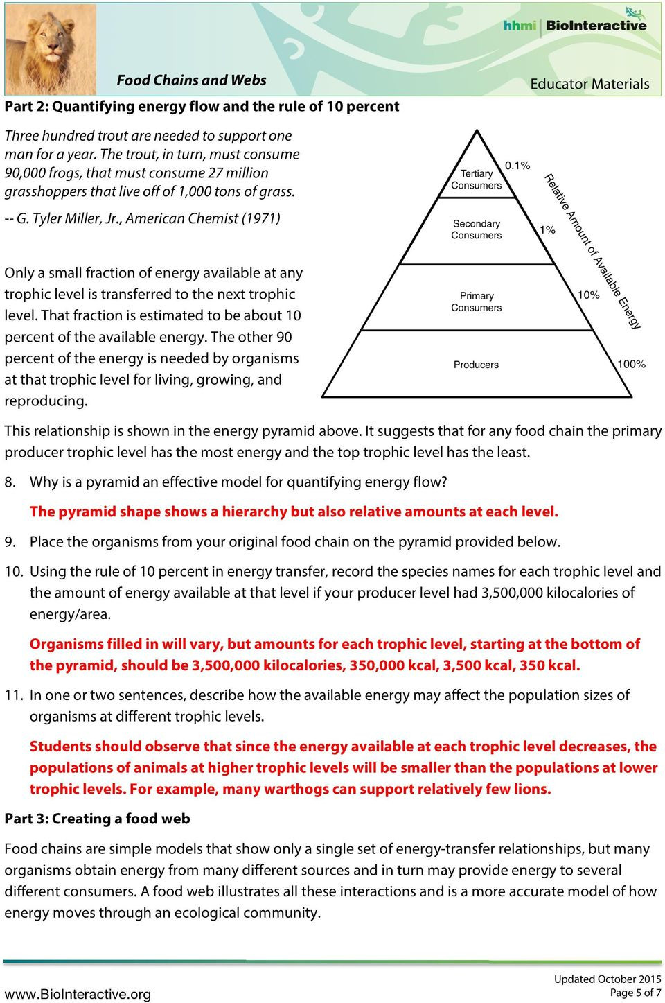 40 Ecological Pyramids Worksheet Answer Key Worksheet Information 40 Ecological Pyramids Worksheet Answer Key Worksheet Information