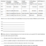 Atp The Free Energy Carrier Worksheet Answer Key Worksheet Template