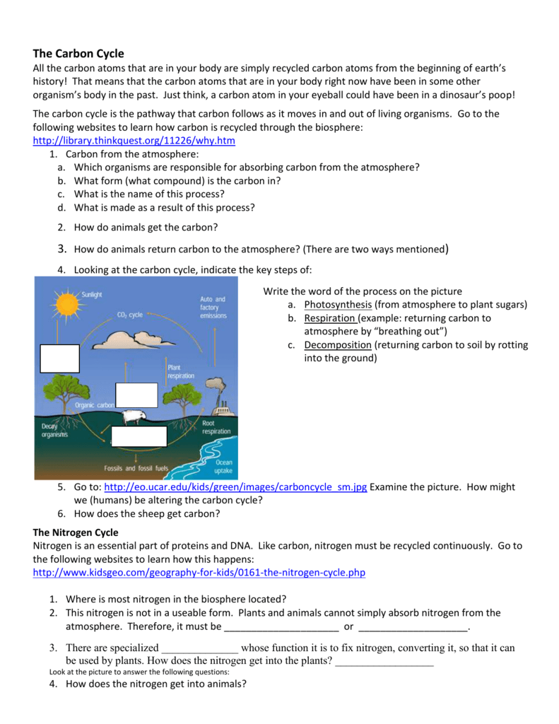 Biogeochemical Cycles Webquest Key 35 Biogeochemical Cycles Webquest