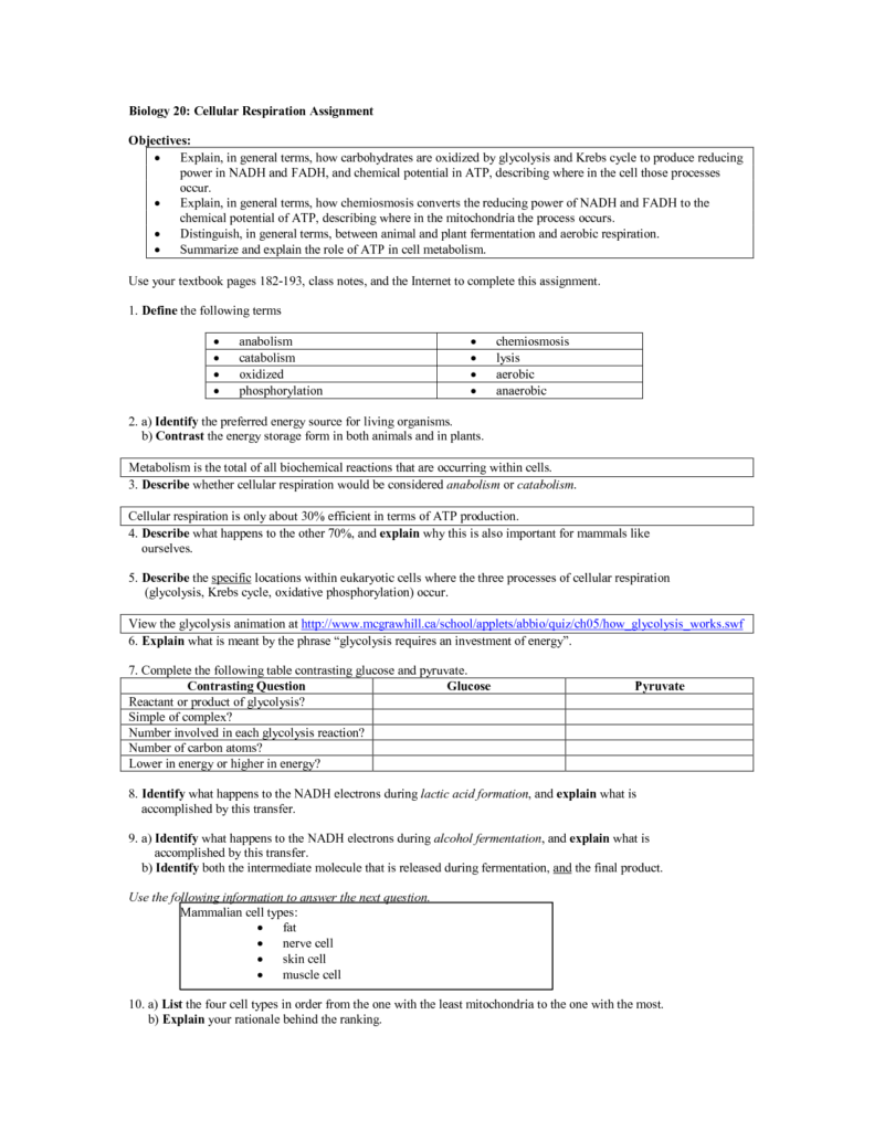 Cellular Respiration Pogil Answer Key Oxidative Phosphorylation Pogil 