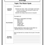 Ecology Worksheets Printable Pdf Download