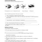 Heat Transfer Worksheet Pdf Db excel