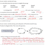 IB Biology Solalto 9th Grade 3rd MP