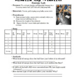 Kinetic And Potential Energy Lab pdf Kinetic And Potential Energy