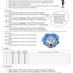 Natural Selection Simulation At Phet Worksheet Answers