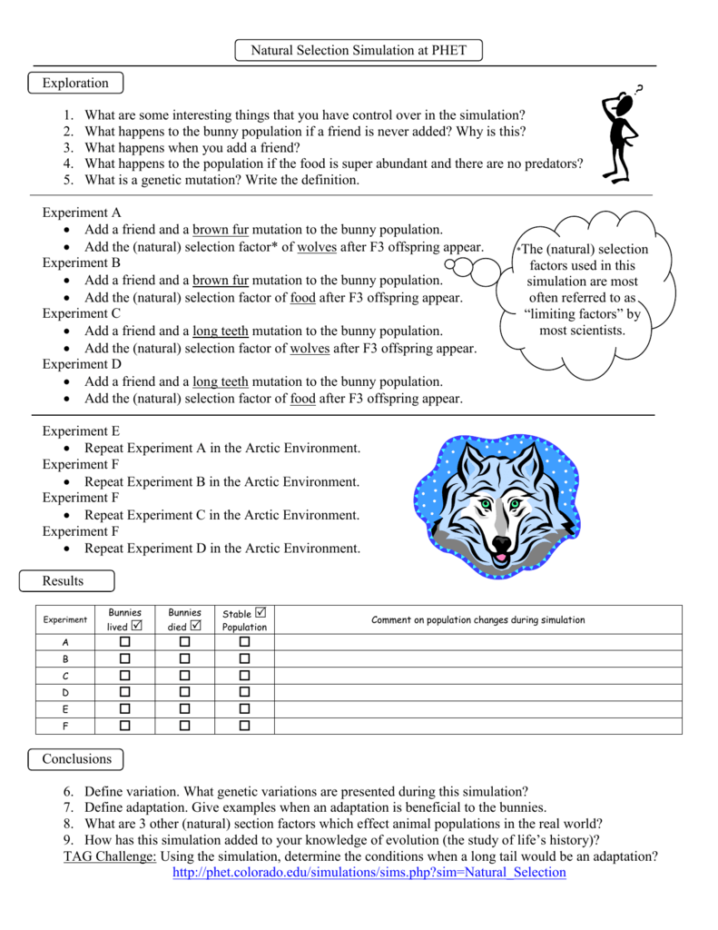 Natural Selection Simulation At Phet Worksheet Answers 