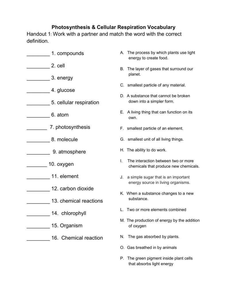 Photosynthesis Cellular Respiration Vocabulary Photosynthesis Cellular Respiration Vocabulary