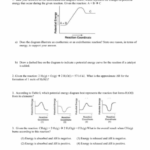 Potential Energy Diagram Table I Worksheet Best Diagram Collection