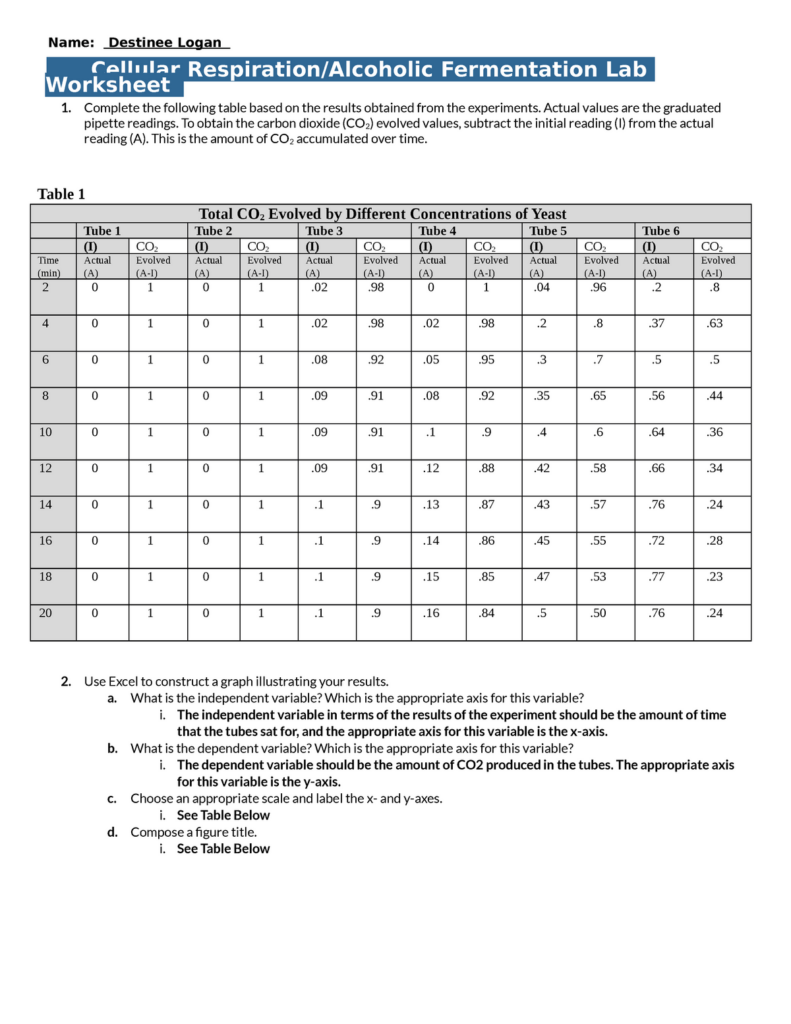 Review Over Glucose Metabolism Worksheet Answers Promotiontablecovers