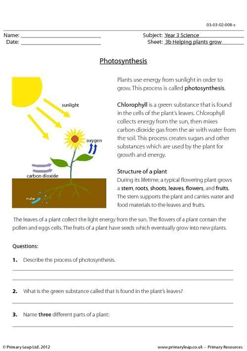 Section 8 1 Energy And Life Worksheet Answer Key Worksheet Section 8 1 Energy And Life Worksheet Answer Key Worksheet