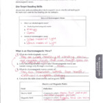 The Nature Of Force Worksheet Answers Nidecmege
