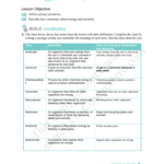 3 2 Energy Producers And Consumers docx