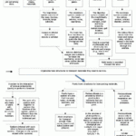 Cellular Transport Worksheet
