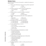 Chapter 9 Energy In A Cell Worksheet Answers Ivuyteq