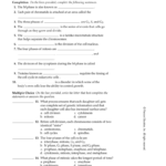 Chapter 9 Lesson 1 Energy And Life Answer Key Discover Our Best