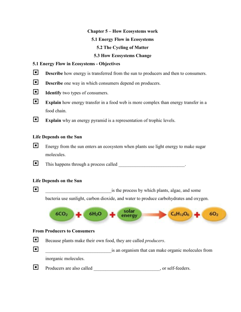 Energy Flow In Ecosystems Answers Consumers Energy Xcel Db Excel Energy Flow In Ecosystems Answers Consumers Energy Xcel Db excel