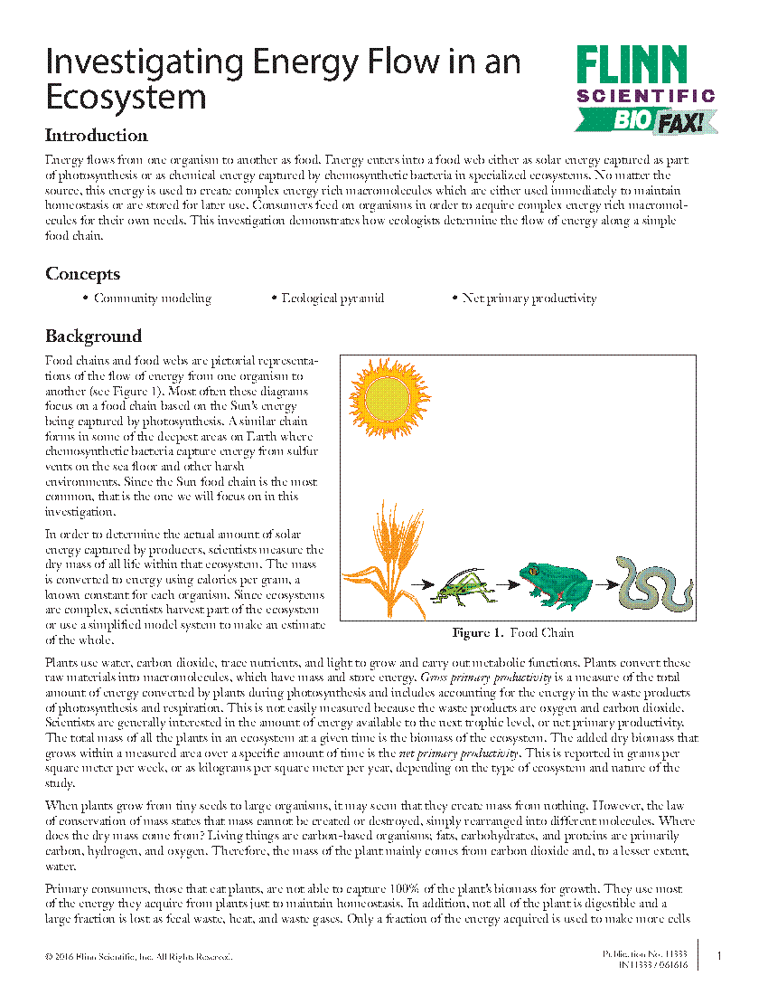 Energy Flow Worksheet Free Download Goodimg Co Energy Flow Worksheet Free Download Goodimg co