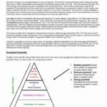 Energy Model Worksheet 3 Answer Key Kayra Excel
