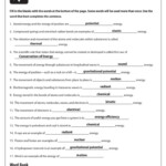 Kinetic And Potential Energy Worksheet Answer Key Db excel