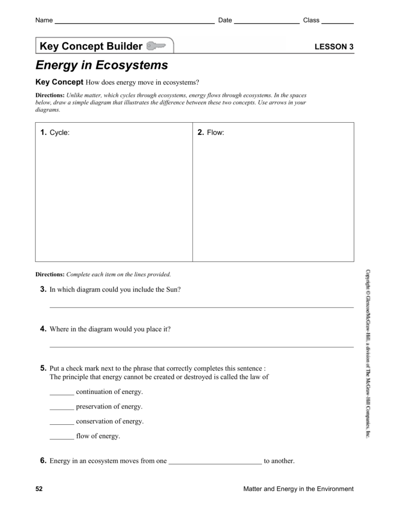 Lesson 3 Energy In Ecosystems