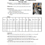 Potential Energy Worksheet Pdf Free Download Gambr co