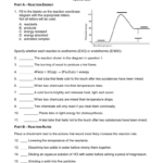Reaction Energy Rates Worksheet